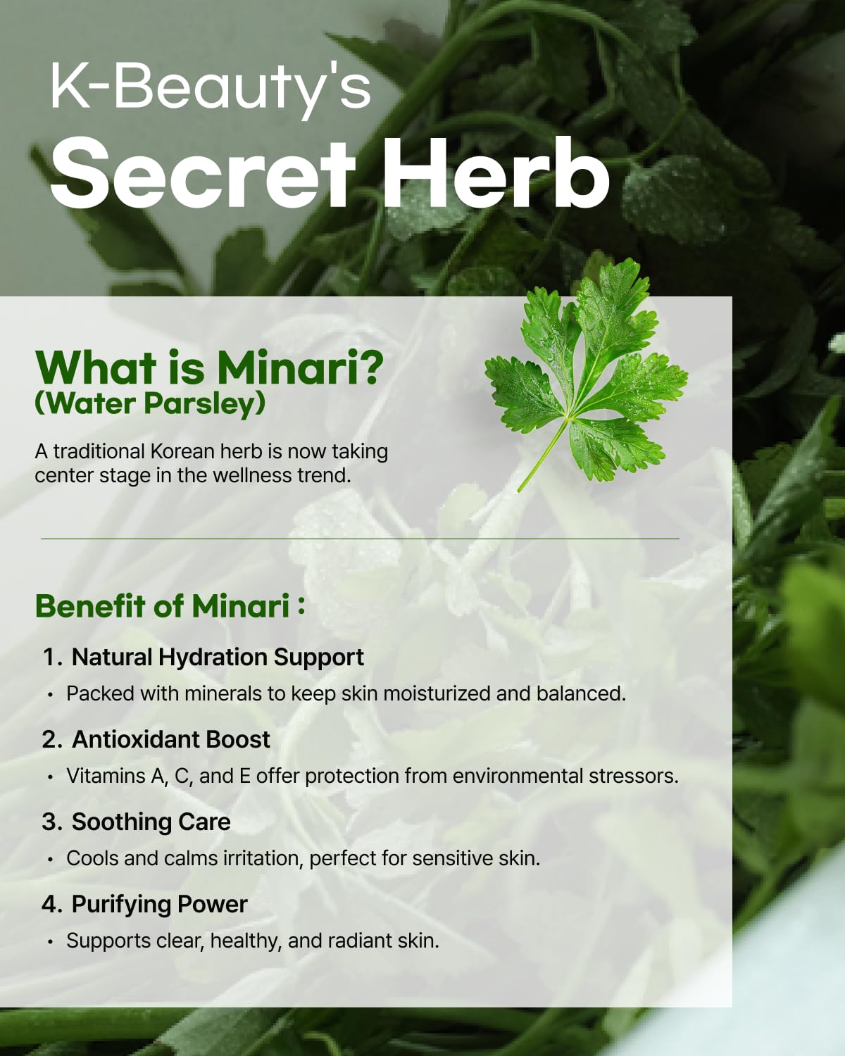 ClearDea Minari Calming Gel Serum for face – K-Beauty Hydrating & Soothing Face Serum with Korean Water Parsley, Green Tea, Mugwort & Lemon Balm Extracts, 30ml/1.01oz